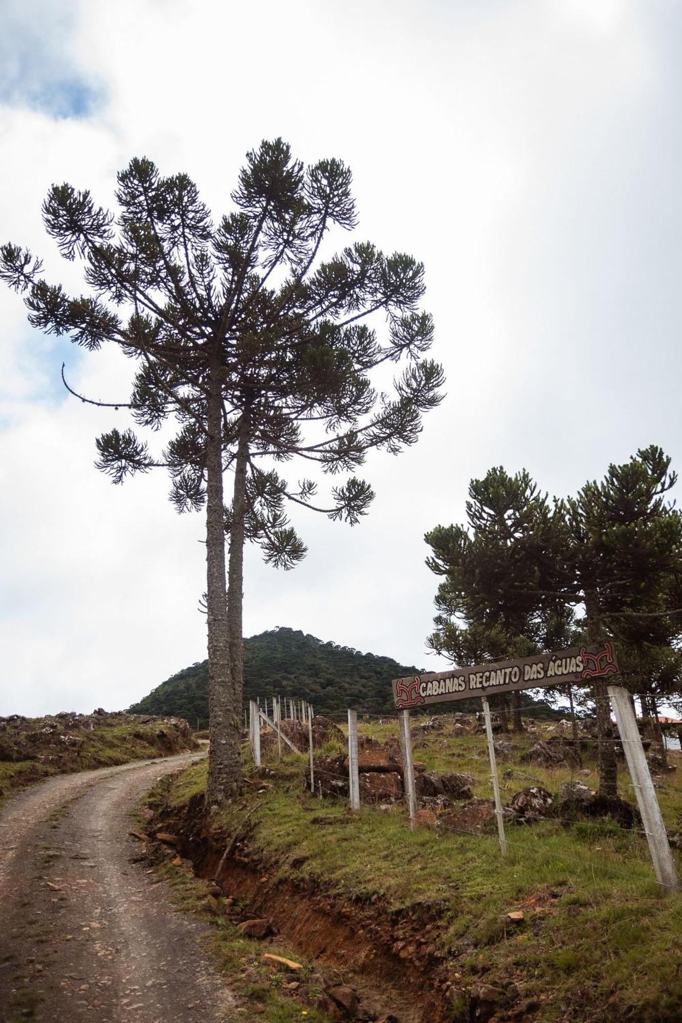 Recanto Das Aguas - Urubici - Sc Kültér fotó