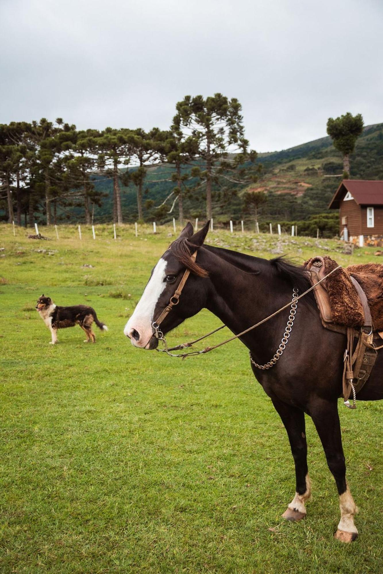 Recanto Das Aguas - Urubici - Sc Kültér fotó